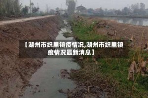 【湖州市织里镇疫情况,湖州市织里镇疫情况最新消息】