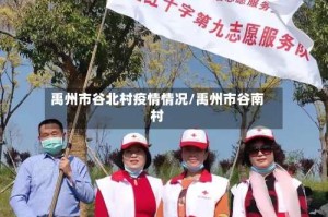 禹州市谷北村疫情情况/禹州市谷南村