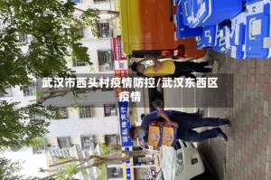 武汉市西头村疫情防控/武汉东西区疫情
