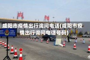 咸阳市疫情出行询问电话(咸阳市疫情出行询问电话号码)
