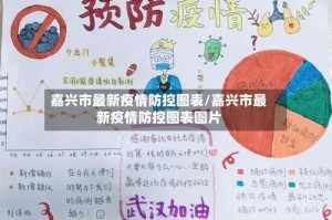 嘉兴市最新疫情防控图表/嘉兴市最新疫情防控图表图片