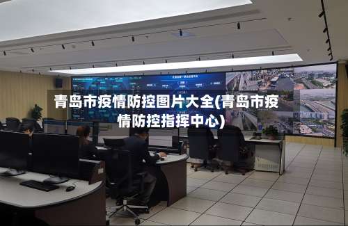 青岛市疫情防控图片大全(青岛市疫情防控指挥中心)-第1张图片