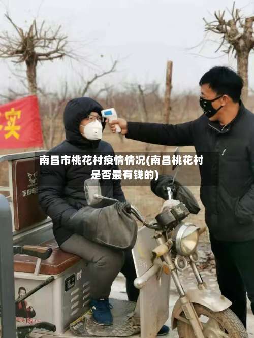 南昌市桃花村疫情情况(南昌桃花村是否最有钱的)-第1张图片