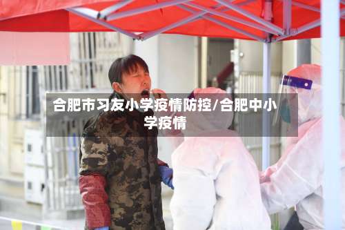 合肥市习友小学疫情防控/合肥中小学疫情-第1张图片