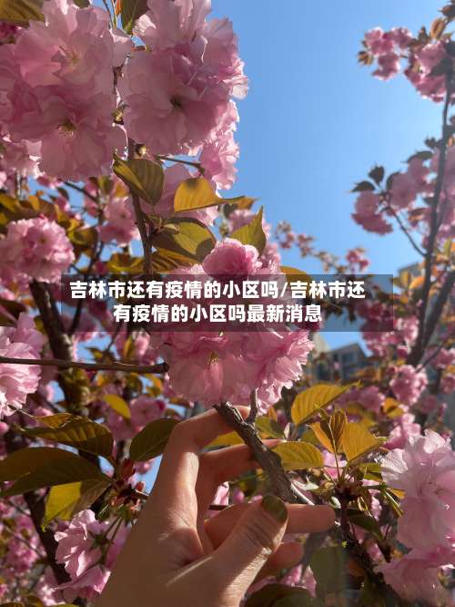 吉林市还有疫情的小区吗/吉林市还有疫情的小区吗最新消息-第2张图片