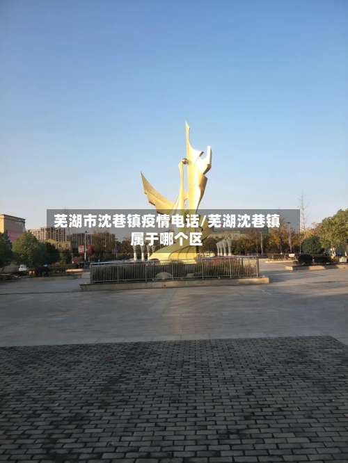 芜湖市沈巷镇疫情电话/芜湖沈巷镇属于哪个区-第3张图片