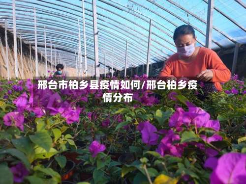 邢台市柏乡县疫情如何/邢台柏乡疫情分布-第3张图片