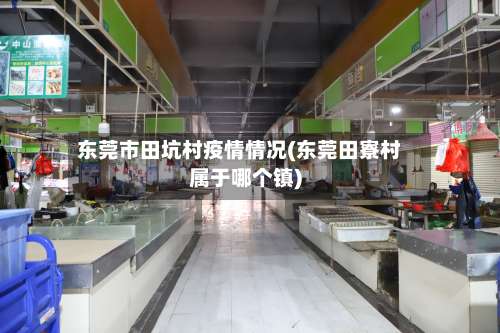 东莞市田坑村疫情情况(东莞田寮村属于哪个镇)-第2张图片