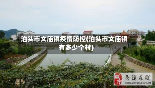 泊头市文庙镇疫情防控(泊头市文庙镇有多少个村)-第2张图片