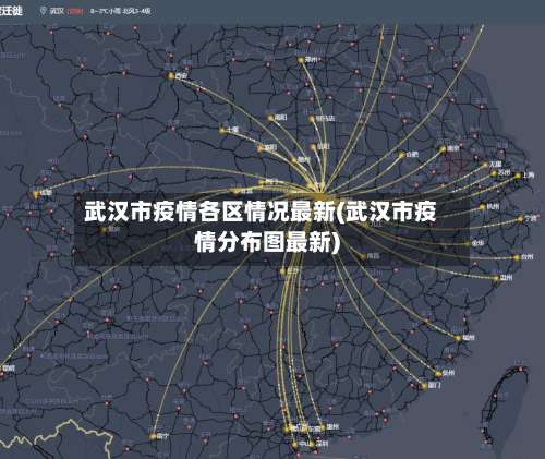 武汉市疫情各区情况最新(武汉市疫情分布图最新)-第3张图片