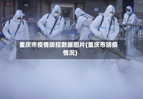 重庆市疫情防控数据图片(重庆市防疫情况)-第1张图片