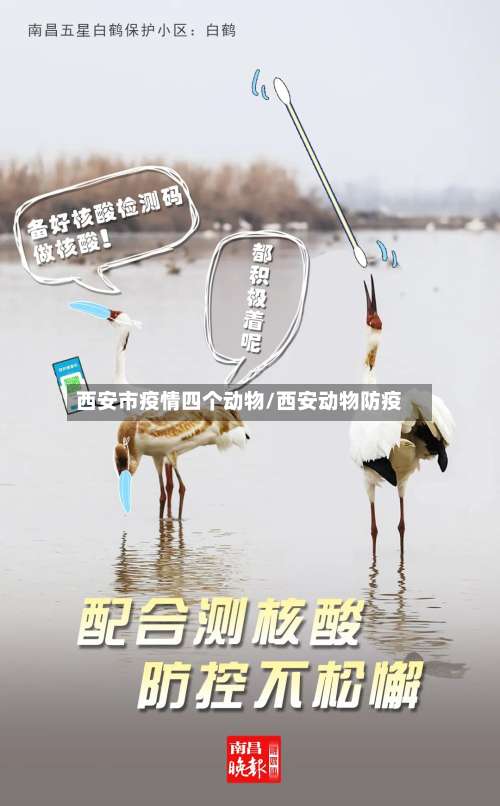西安市疫情四个动物/西安动物防疫-第1张图片