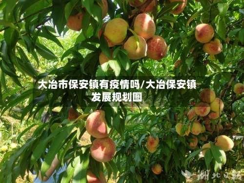 大冶市保安镇有疫情吗/大冶保安镇发展规划图-第1张图片