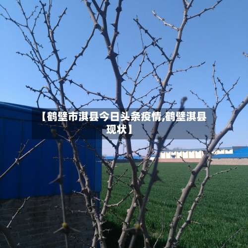 【鹤壁市淇县今日头条疫情,鹤壁淇县现状】-第1张图片