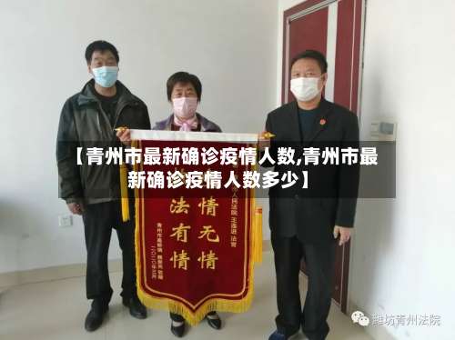 【青州市最新确诊疫情人数,青州市最新确诊疫情人数多少】-第2张图片